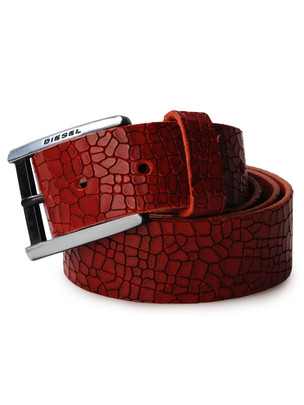 Diesel Accessories - Belts