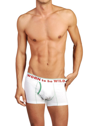 Diesel  - Boxers